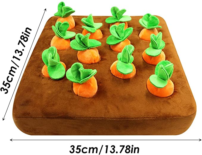 Dog Vegetable Chew and Snuffle Mat.