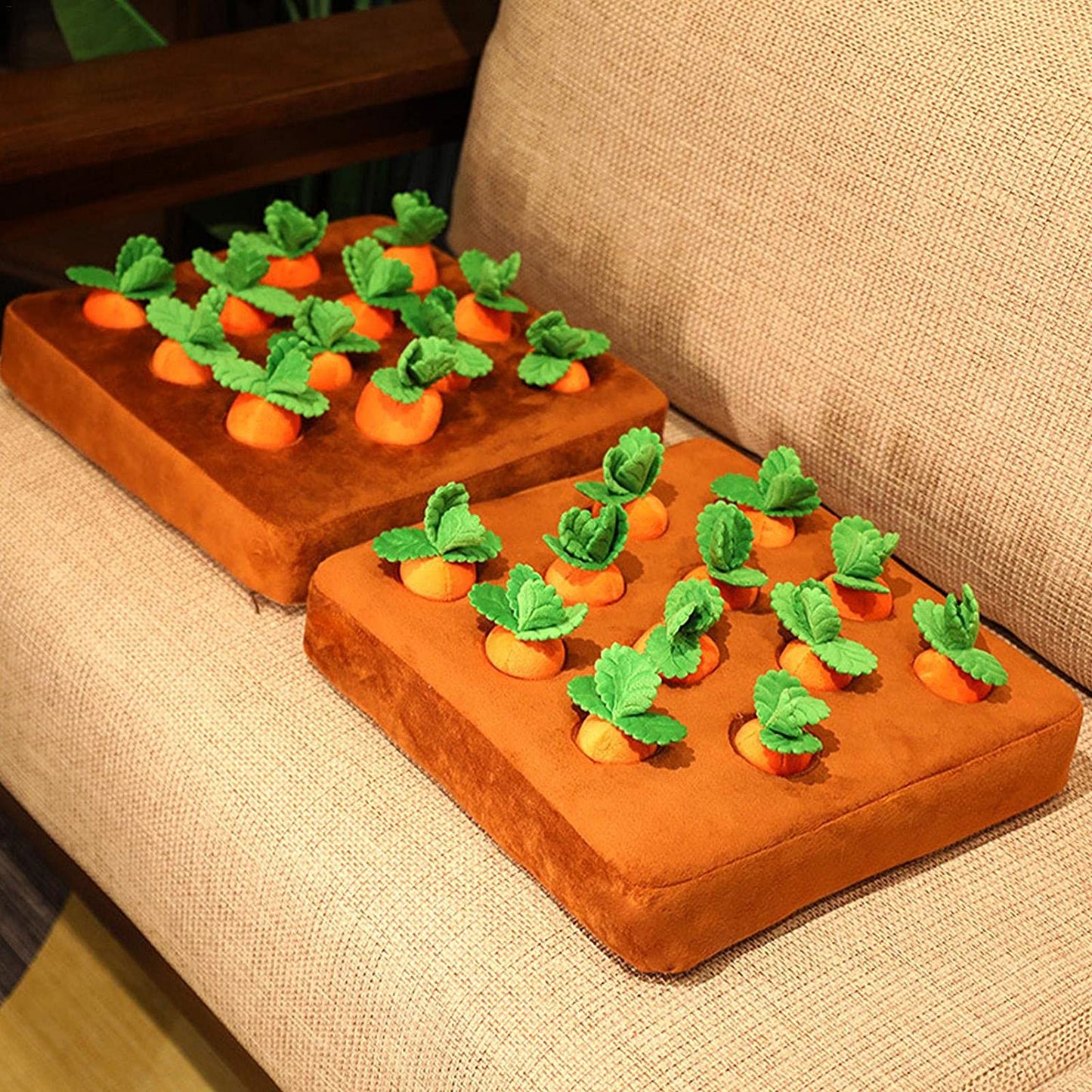 Dog Vegetable Chew and Snuffle Mat.